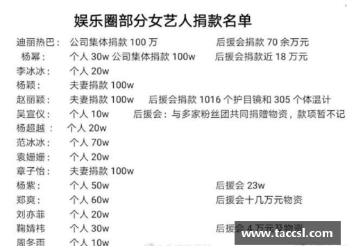 体育明星偶像化现象与评价研究